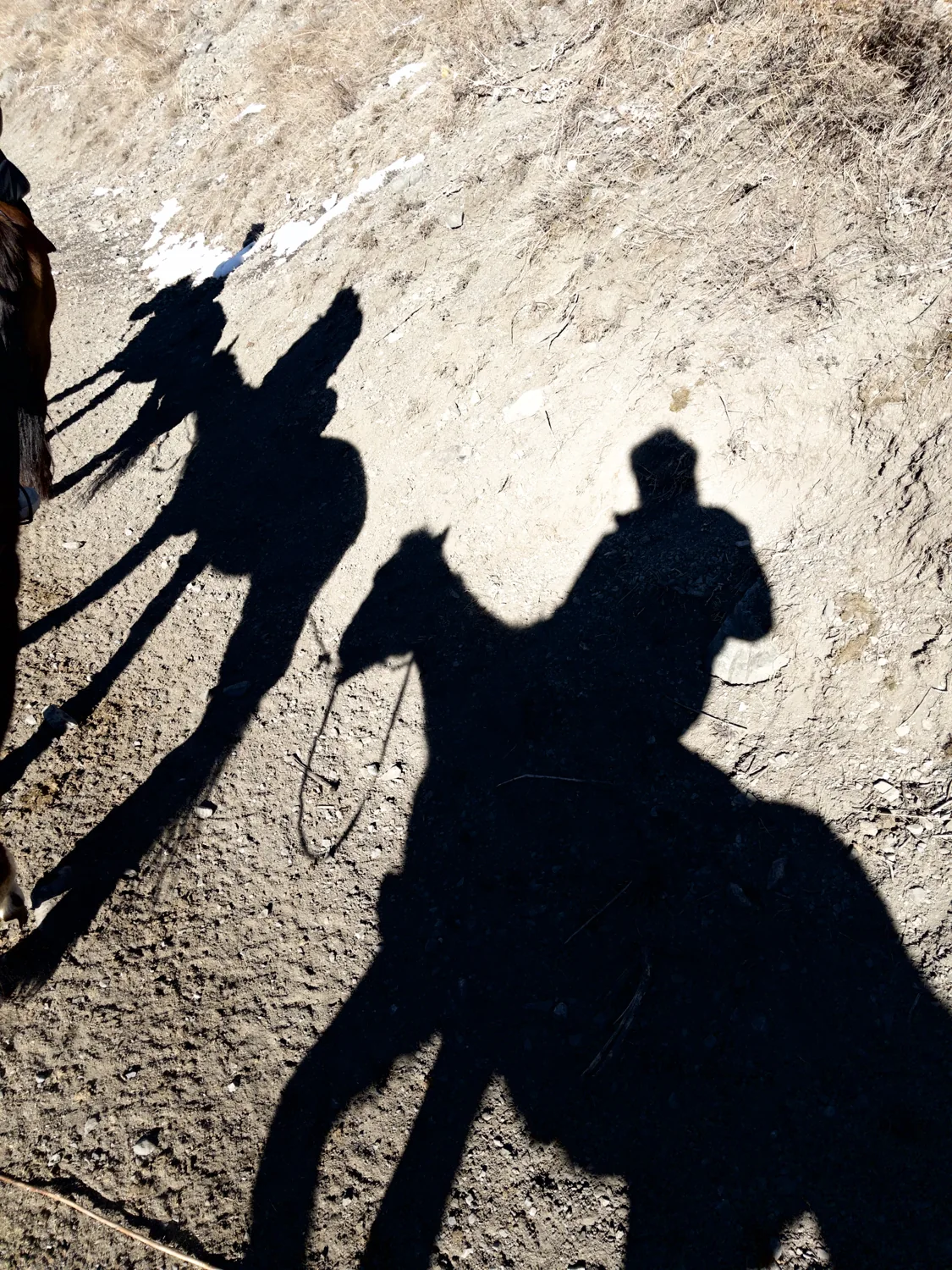 Shadows of a group walking on a rocky path