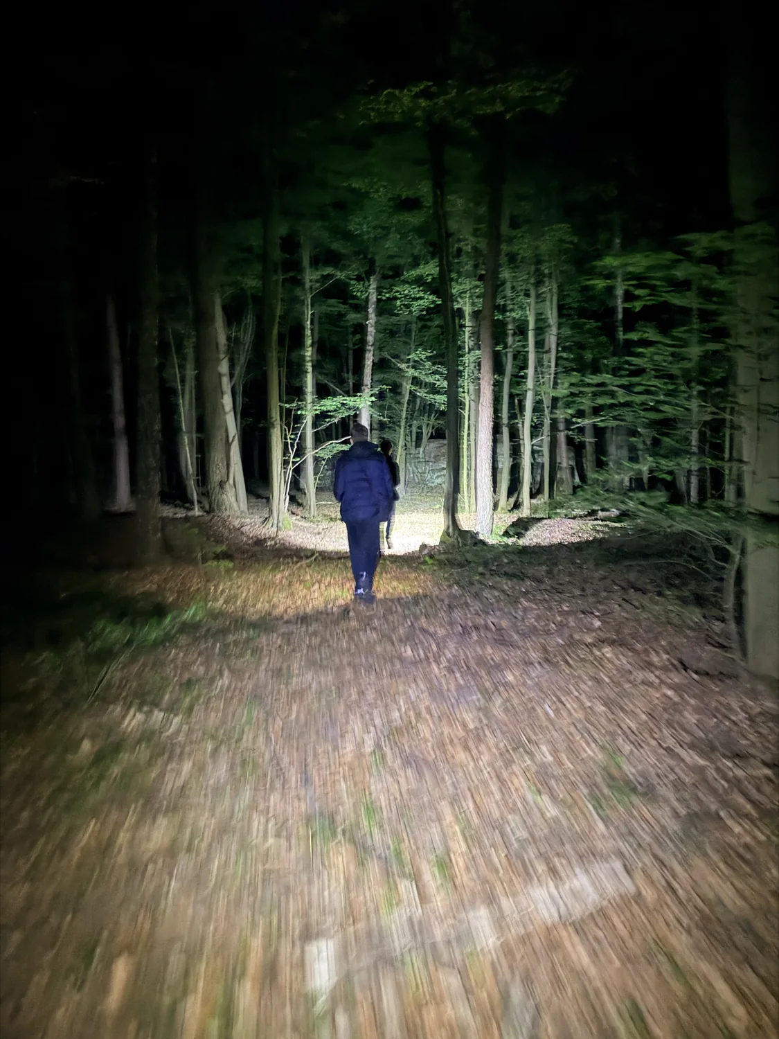 Walking along a forest path at night